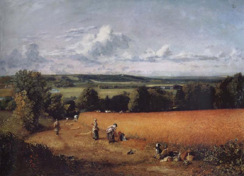 John Constable The wheatfield oil painting image